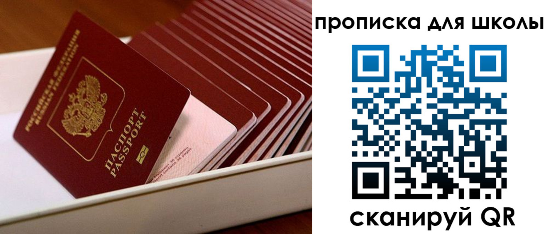 временная регистрация гарантия в Мамадыше